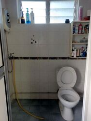 Blk 240 Serangoon Avenue 2 (Serangoon), HDB 4 Rooms #589956581